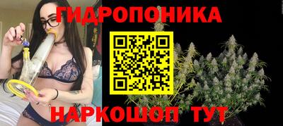 гашишное масло Кимры