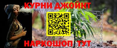 скорость Кингисепп