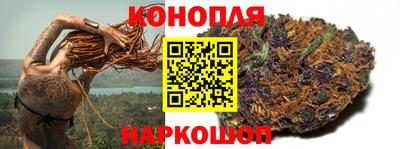 скорость Кингисепп