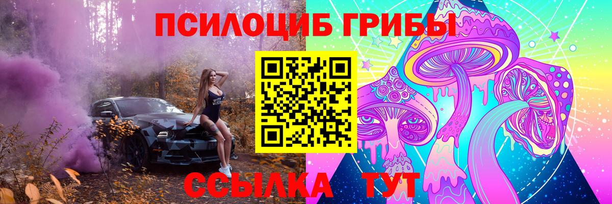Псилоцибиновые грибы GOLDEN TEACHER  Галлюциногенные грибы Magic Shrooms  Вход с VPN  Хасавюрт 