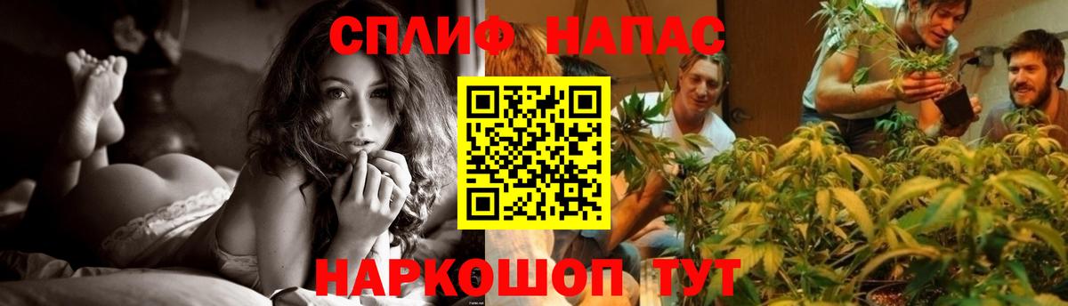 Канабис VHQ Хасавюрт